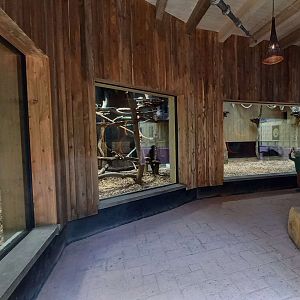 Gibonika - silvery gibbon exhibit