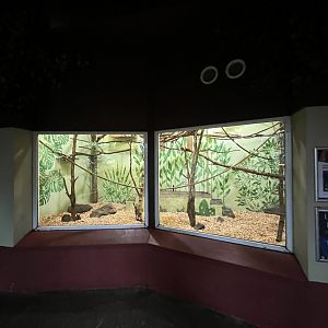 Example of magic forest small primate indoors 16.7.24 (0.5)