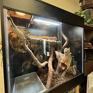 Snake tank in education centre 16.7.24