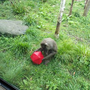 Drill with enrichment 16.7.24