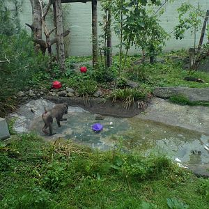 Drill in the water 16.7.24