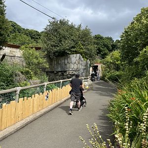 View of new sun bear fencing 18.7.24