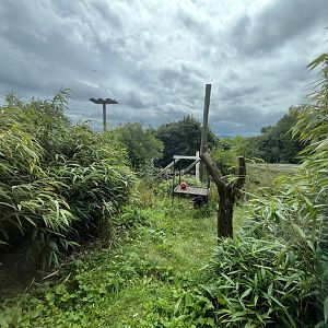 Sun bear enclosure (0.5) 18.7.24