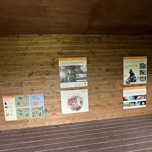 Sun bear informative signs 18.7.24