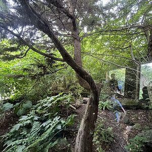 Former bird aviary 18.7.24