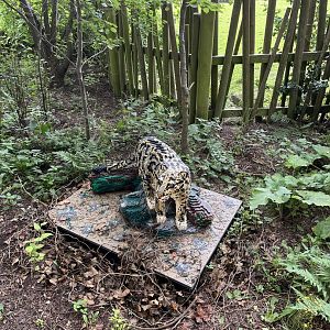 Lego clouded leopard  18.7.24