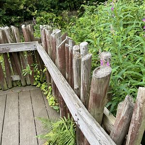 Barriers in need of some TLC 18.7.24