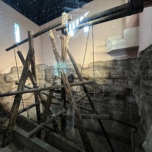 Chimpanzee indoor pod (0.5) 18.7.24