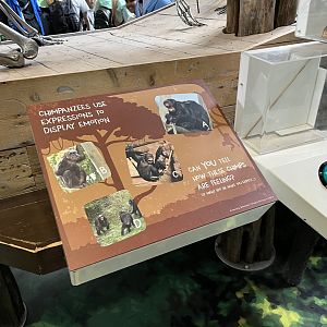 Old signage covered over by new signage 18.7.24