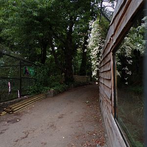 View up to cheetah enclosure 18.7.24
