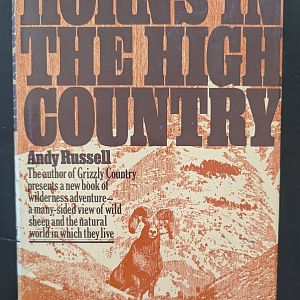 Horns in the High Country