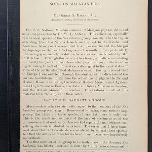 Notes on Malayan Pigs.