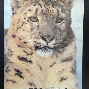 Zurich Zoo Guide Book