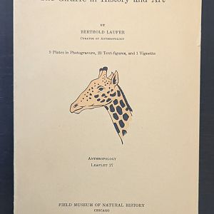 The Giraffe in History and Art