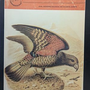 Notogaea: A Historical Zoogeographic Account of Australia, New Guinea, and New Zealand