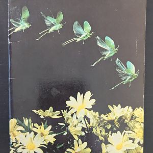 The Insect: An exhibit at the National Museum of Natural History, Smithsonian Institution.