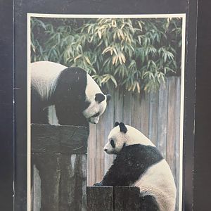 1982 Smithsonian National Zoo Guide Book