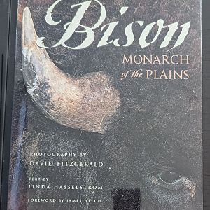 Bison: Monarch of the Plains