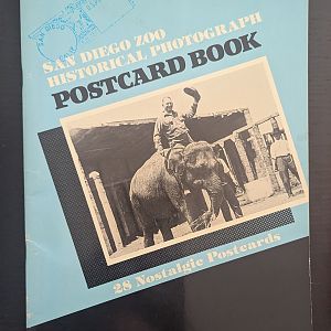 San Diego Zoo Historical Photograph Postcard Book