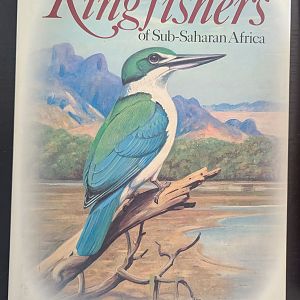 Kingfishers of Sub-Saharan Africa