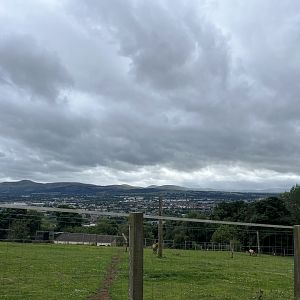 Przewalski’s horse enclosure and view 19.7.24
