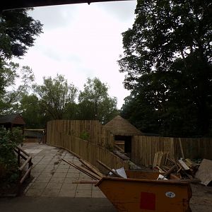 Work on future cheetah enclosure 19.7.24