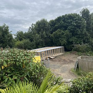 New building in animal antics 22.7.24