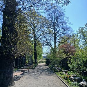 A pathway in the zoo