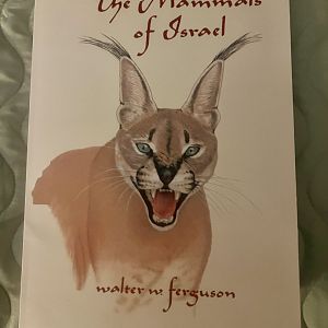 The Mammals of Israel