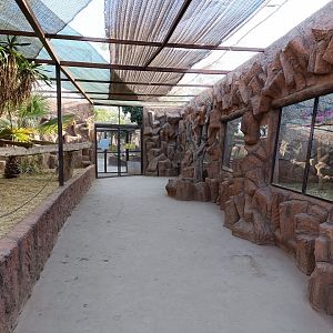 Squirrel monkey exhibit an titis exhibits