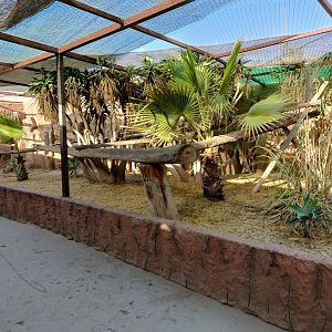 Squirrel monkey exhibit