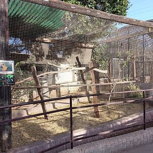 Jandaya parakeet exhibit
