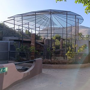 Hanuman langur exhibit