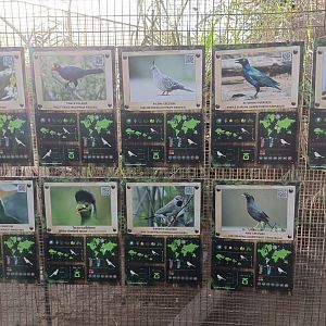 Aviary signs