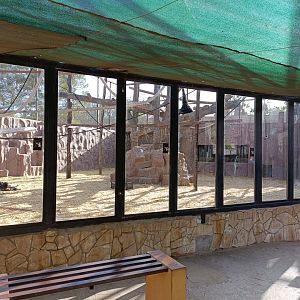 Viewing of Lar gibbon exhibit
