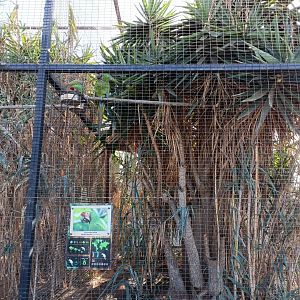 Military macaw exhibit