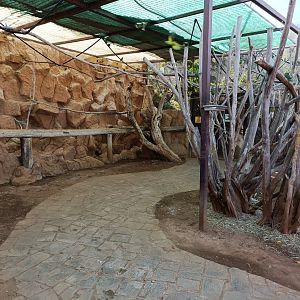 Cockatiel and Rosy-faced lovebird exhibit
