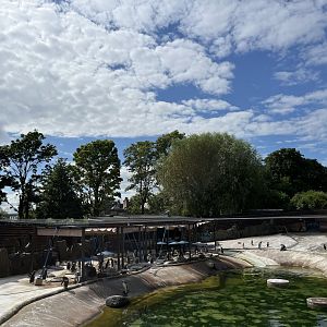 View of penguin enclosure and the sky 22.7.24