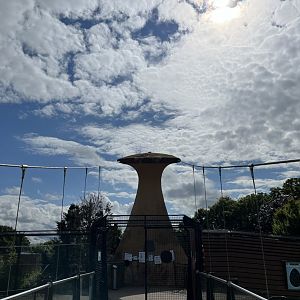 View of penguin bridge and the view 22.7.24