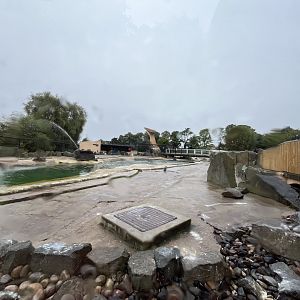 Penguin’s rock 0.5 version 25.8.24