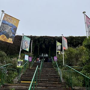 Entrance building and staircase 25.8.24
