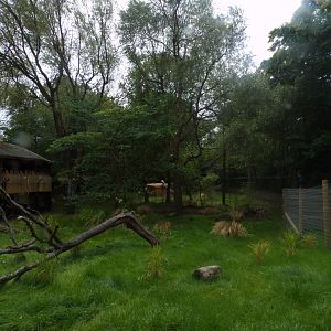 Cheetah enclosure 25.8.24