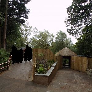 View of cheetah viewing area and path up to walkway 25.8.24
