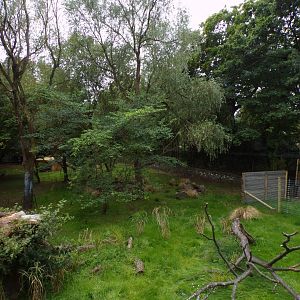 Cheetah enclosure 25.8.24