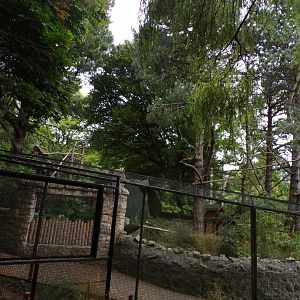View of red panda enclosure 25.8.24