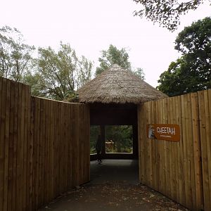 View of cheetah viewing area 25.8.24