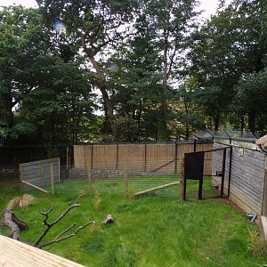 Cheetah enclosure 25.8.24