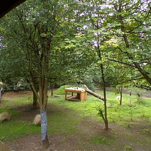Cheetah enclosure 25.8.24
