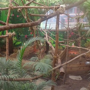 Three banded armadillo enclosures 25.8.24