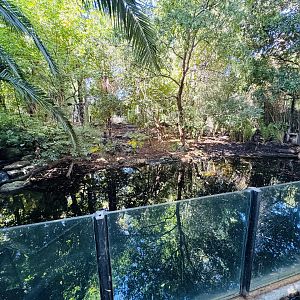Sumatran tiger enclosure